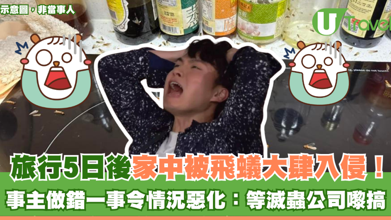 旅行5日後回家揭被飛蟻大肆入侵！事主做錯一事令情況惡化：等滅蟲公司嚟搞