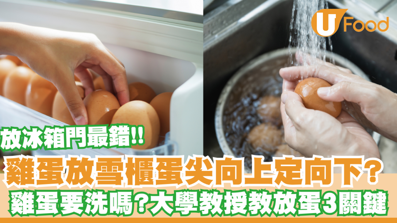 雞蛋放雪櫃蛋尖向上定向下？雞蛋要洗嗎？大學教授教放蛋3關鍵／放冰箱門最錯
