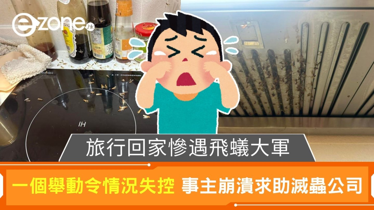 旅行回家慘遇飛蟻大軍｜一個舉動令情況失控 事主崩潰求助滅蟲公司