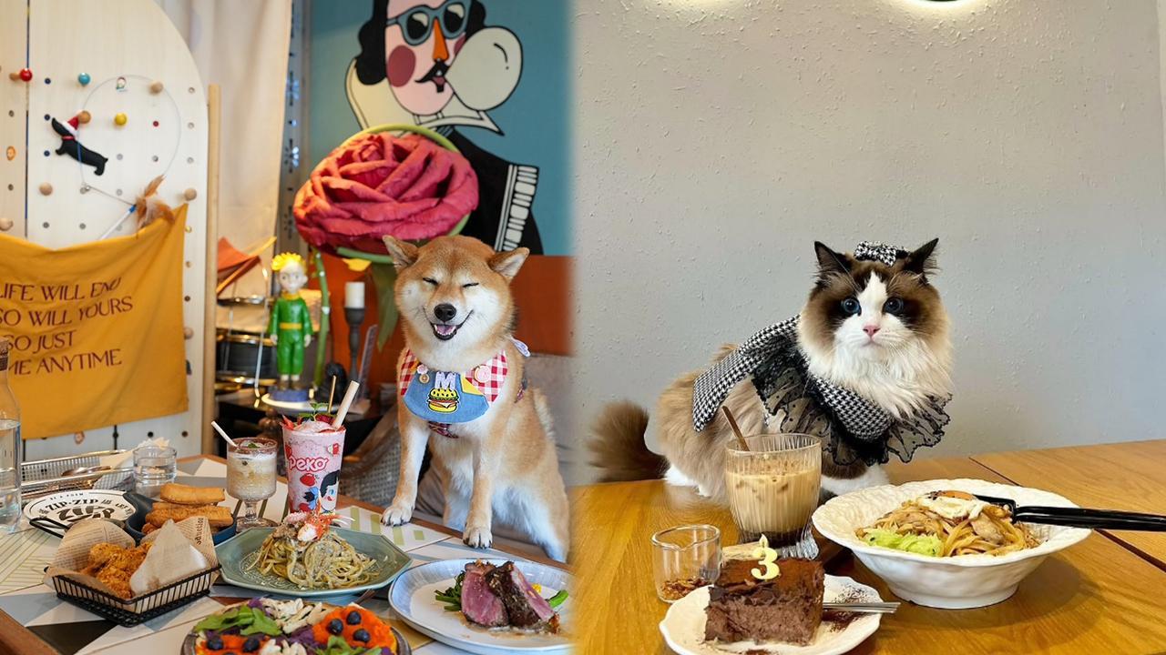 香港人氣寵物友善餐廳推介 | 貓狗都入得！特製寵物Pizza