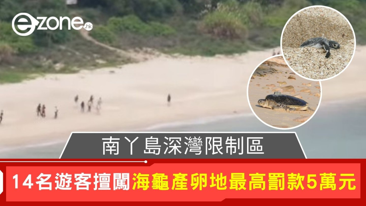 南丫島深灣限制區｜14名遊客闖禁區 擅闖海龜產卵地最高罰款5萬元