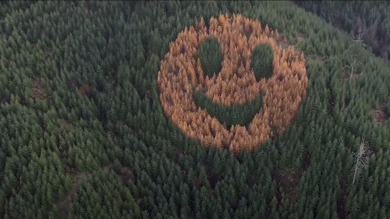 非AI非噴漆！巨型笑臉現身美國森林山坡 百分百自然生成/每年秋季即出現