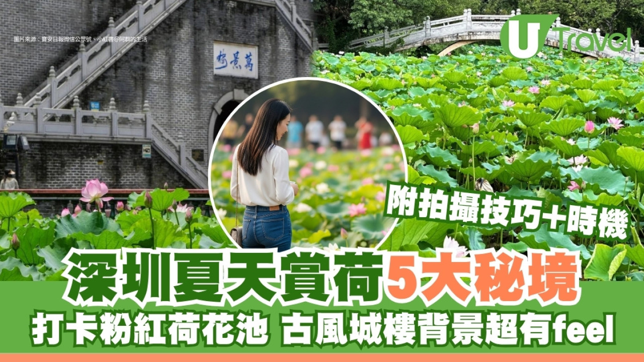 深圳賞荷秘境免費！5大粉紅荷花池打卡點 附最佳觀賞期+拍攝技巧