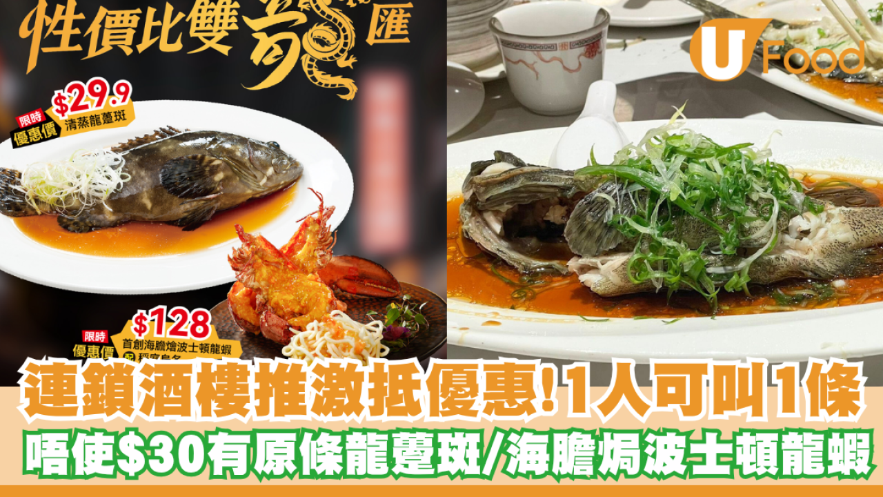 連鎖酒樓唔使$30有原條龍躉斑 一人可叫一條／不限落單次數／指定時間有優惠!