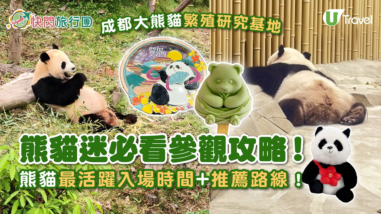 成都大熊貓繁殖研究基地｜熊貓迷必看參觀攻略！ 想睇精靈熊貓幾時入場好？附推薦路線！