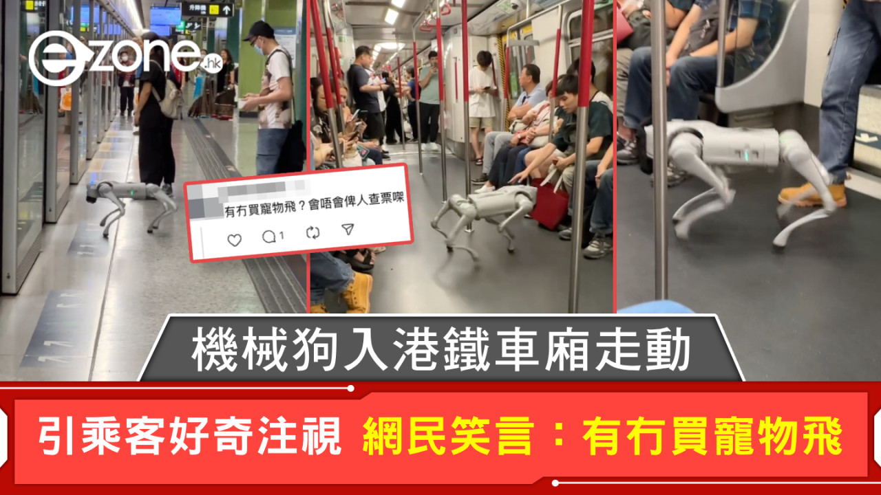 機械狗入港鐵車廂走動 引乘客好奇注視 網民笑言：有冇買寵物飛