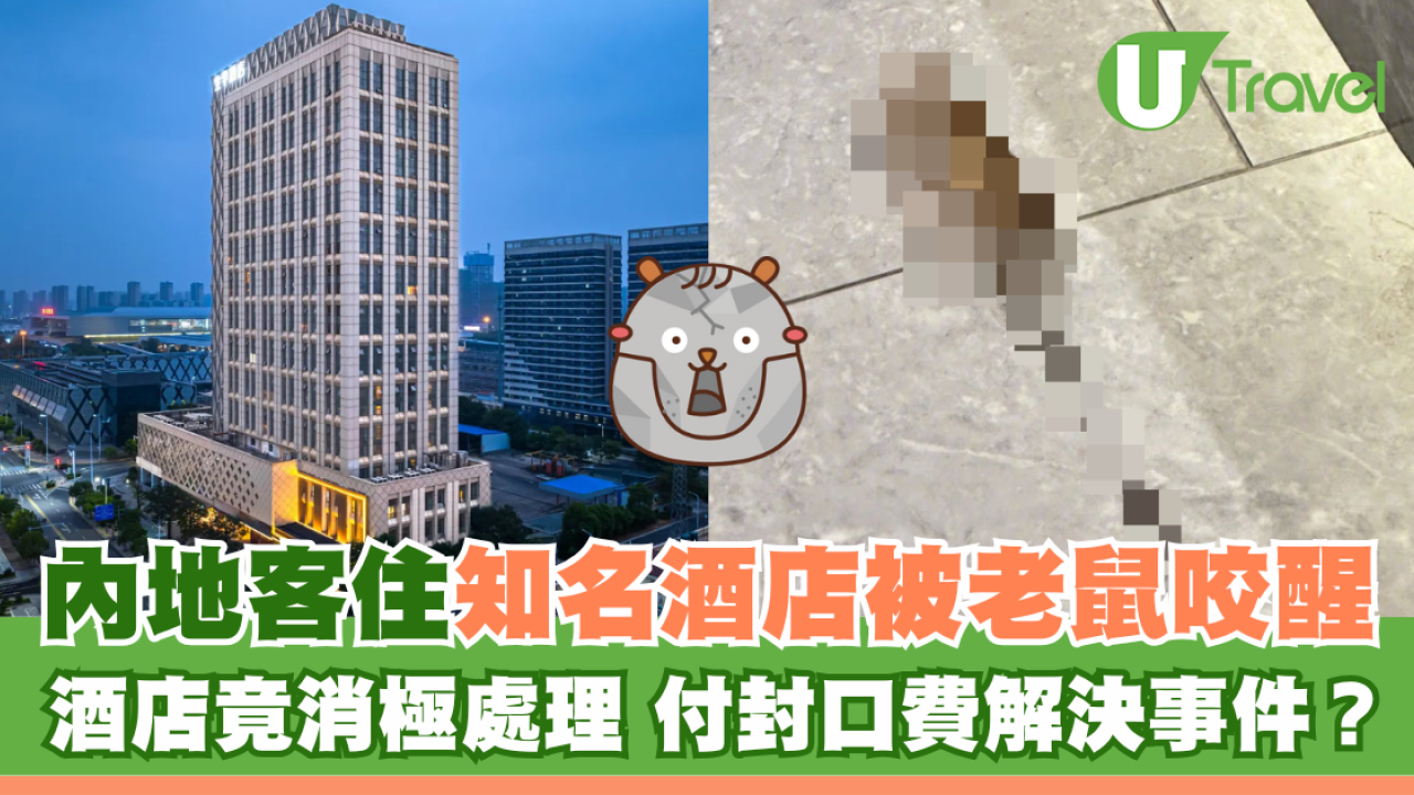 內地客住知名酒店被老鼠咬醒 酒店竟消極處理 付封口費解決事件？