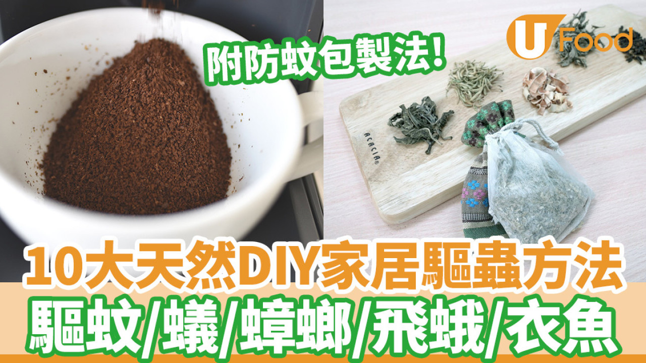 10大天然DIY家居驅蟲方法 驅蚊、飛蛾、螞蟻、蟑螂