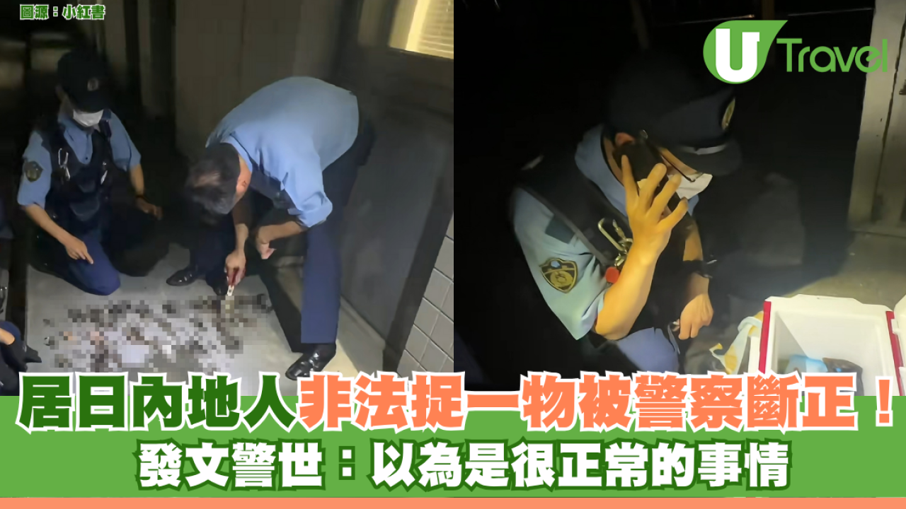 居日內地人非法捉一物被警察斷正！發文警世：以為是很正常的事情