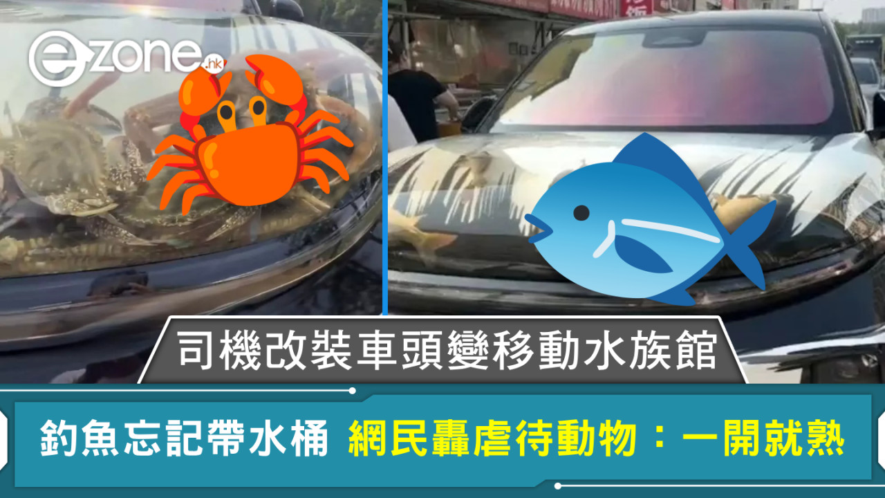 司機改裝車頭變移動水族館 釣魚忘記帶水桶 網民轟虐待動物：一開就熟