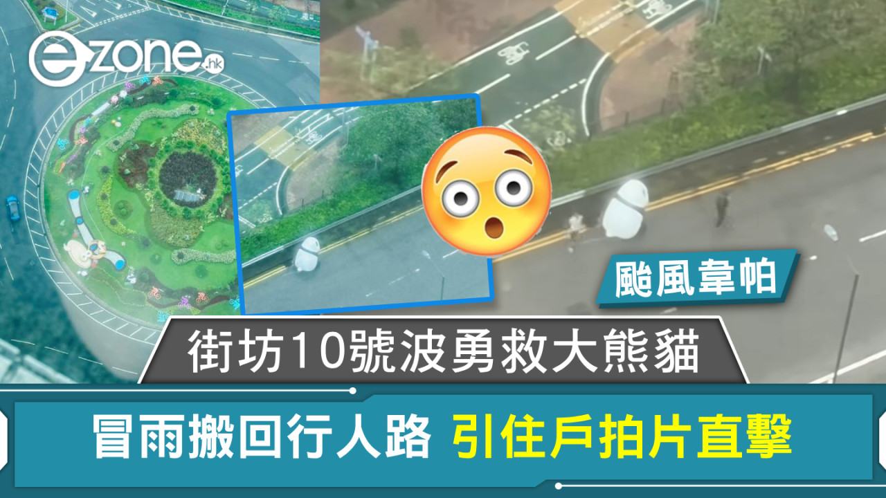 颱風韋帕｜大熊貓走失？街坊10號波勇救熊貓冒雨抬回行人路 引住戶拍片直擊