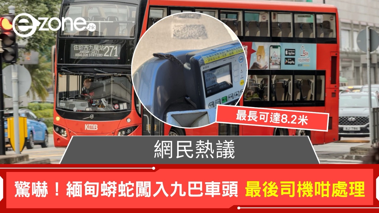 驚嚇!緬甸蟒蛇闖入九巴車頭 最後司機咁處理