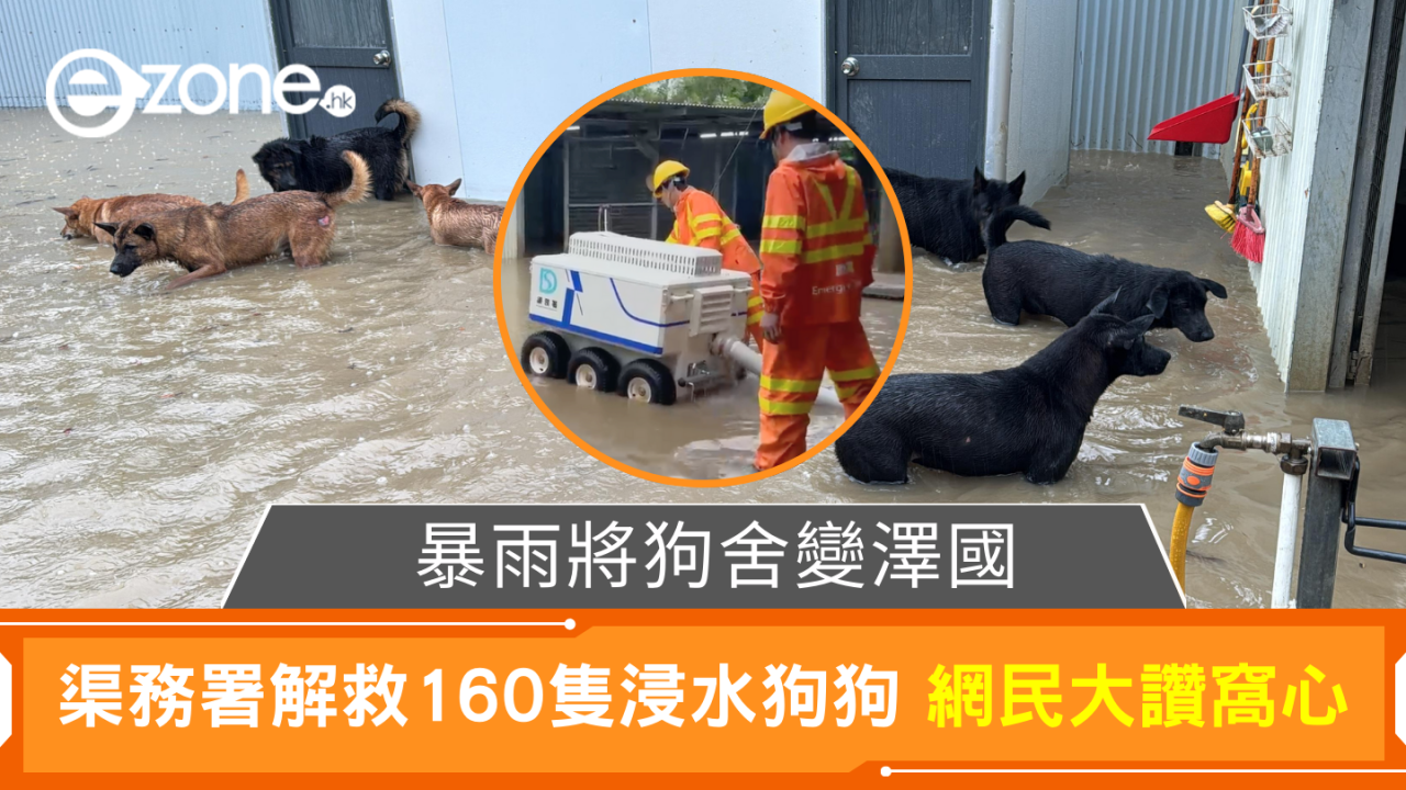 暴雨將狗舍變澤國 渠務署迅速援助160隻浸水狗狗 網民大讚窩心並慷慨捐款