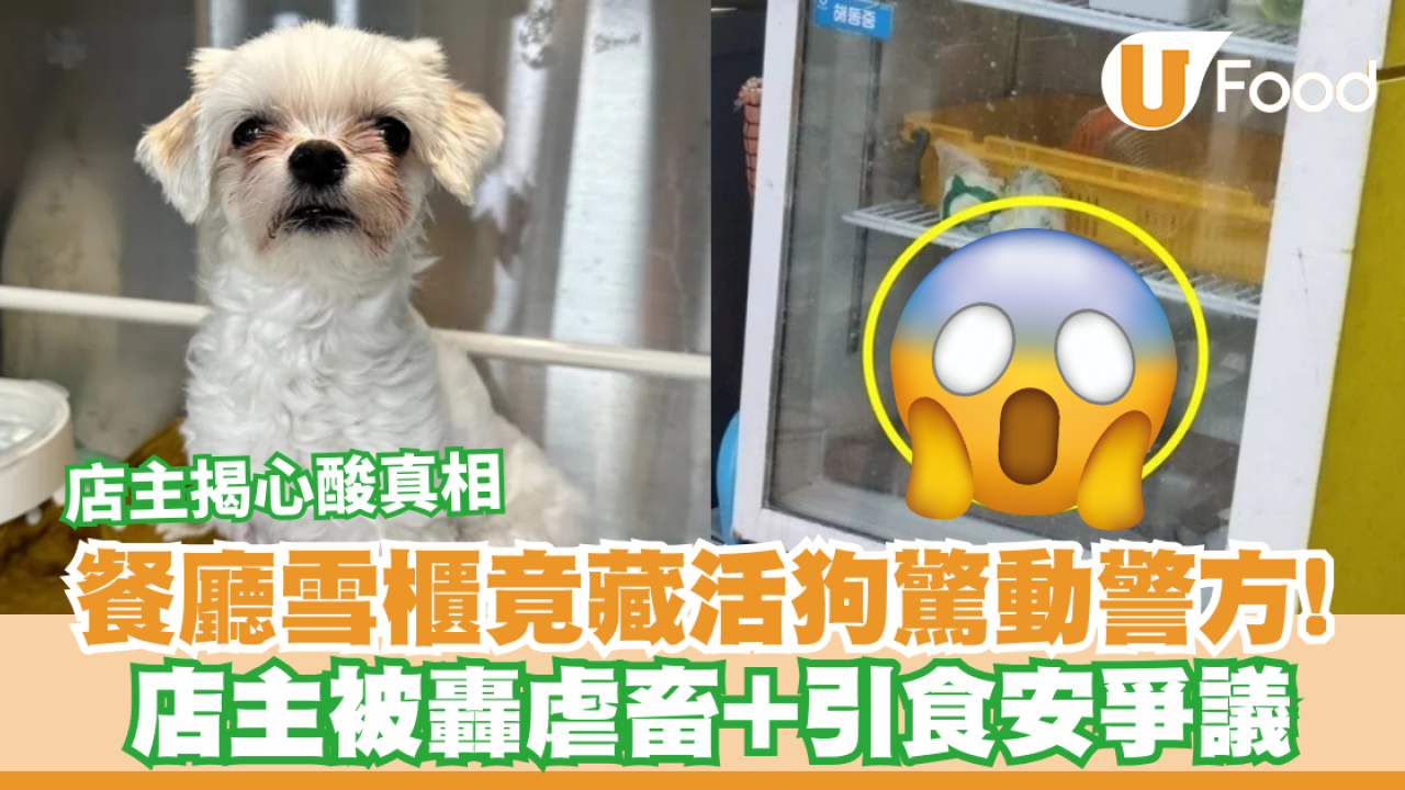 餐廳雪櫃竟藏活狗驚動警方！店主被轟虐畜+引食安爭議反心酸喊：我們養了11年啊...