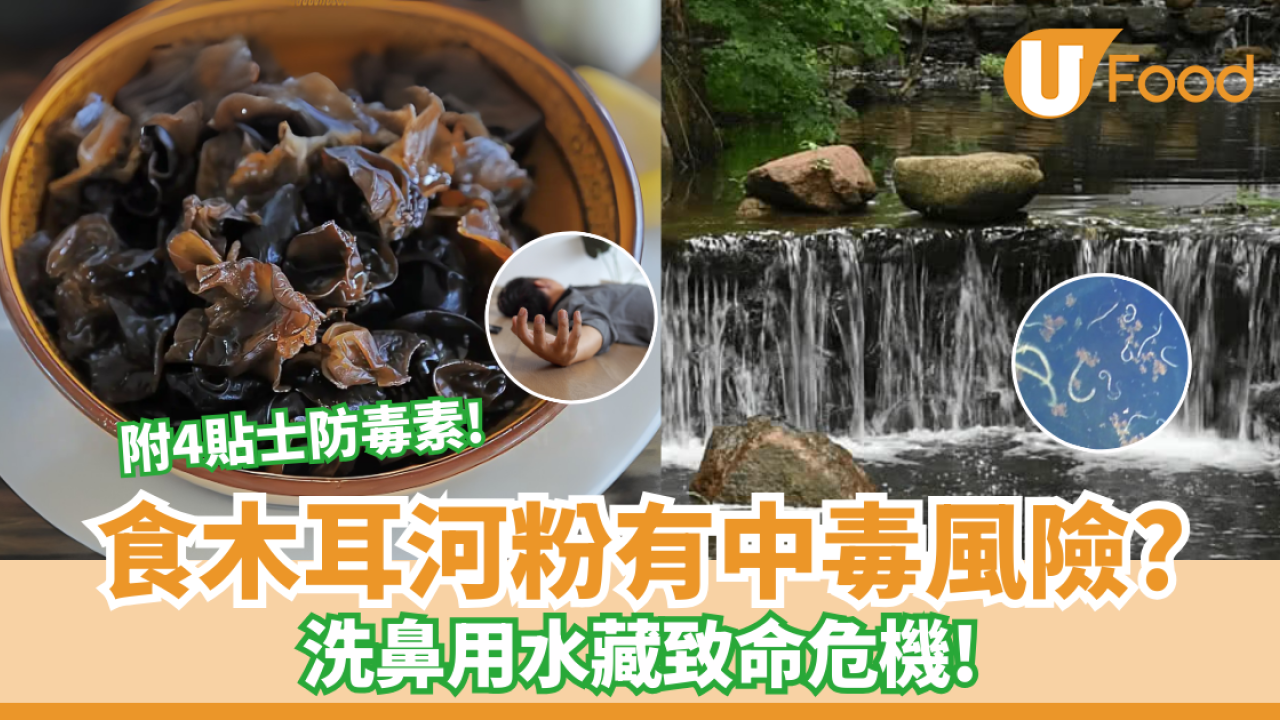 食木耳河粉有中毒風險？洗鼻用水藏致命危機！專家一次說清 附4貼士防毒素