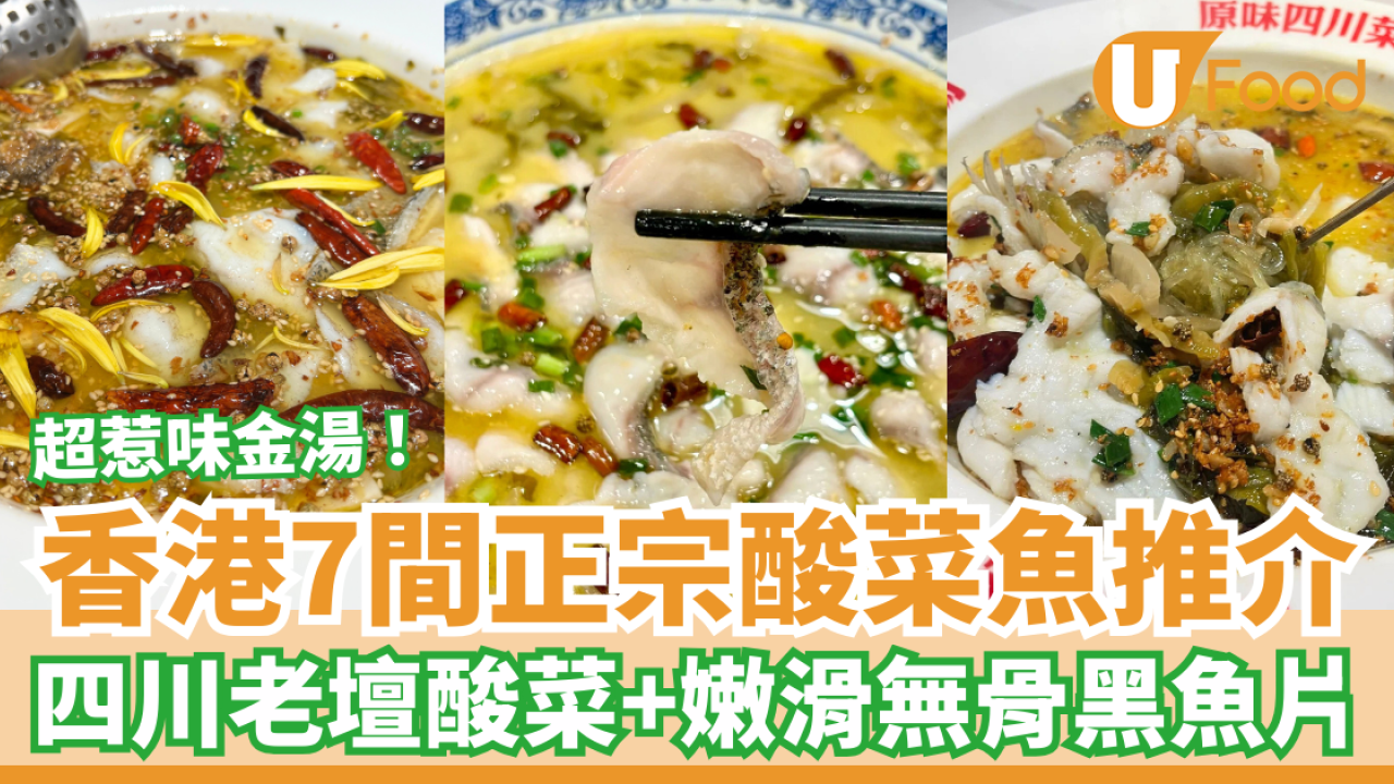 【香港酸菜魚推介】正宗酸菜魚7間必食推介 四川老壇酸菜＋嫩滑無骨黑魚片