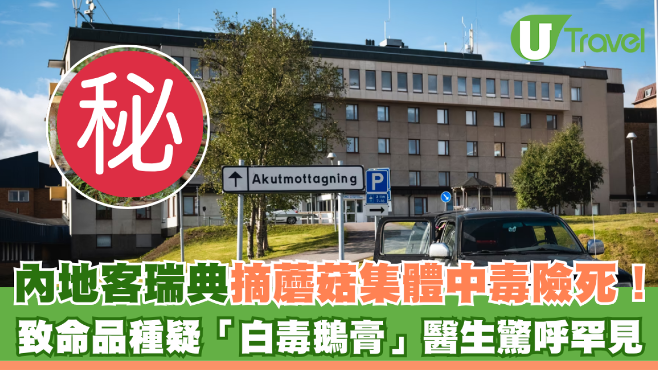 內地客瑞典摘蘑菇集體中毒險死！致命品種疑「白毒鵝膏」醫生驚呼罕見