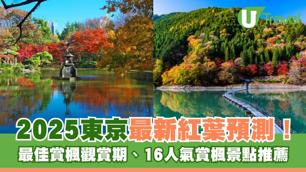 2025東京紅葉最新預測！16人氣賞楓景點推薦+最佳賞楓觀賞期