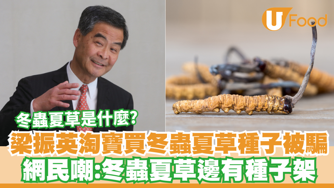 梁振英呻淘寶買冬蟲夏草種子被騙！網民嘲：冬蟲夏草邊有種子架  冬蟲夏草是什麼？
