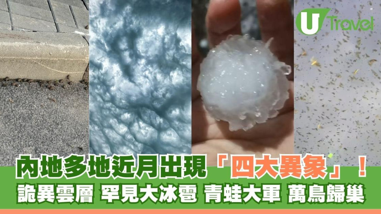 內地近月出現四大異象！詭異雲層、罕見大冰雹、青蛙大軍、萬鳥歸巢