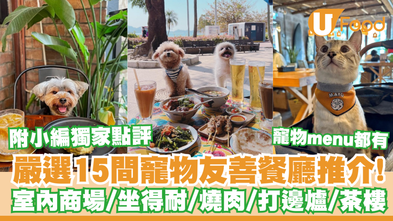 寵物友善餐廳推介｜嚴選15間pet friendly餐廳  室內商場／坐得耐cafe／打邊爐／飲茶酒樓