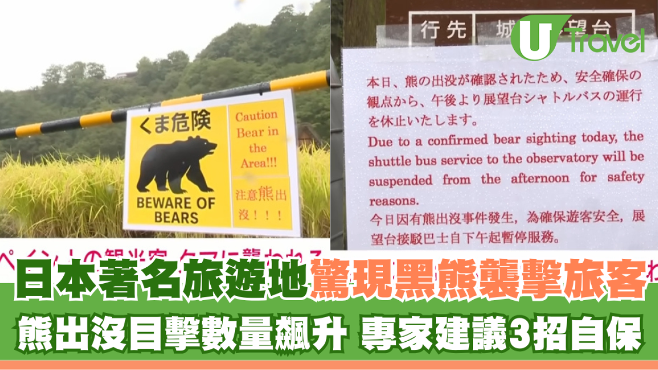 日本著名旅遊地驚現黑熊襲擊旅客 熊出沒目擊數量飆升 專家建議3招自保