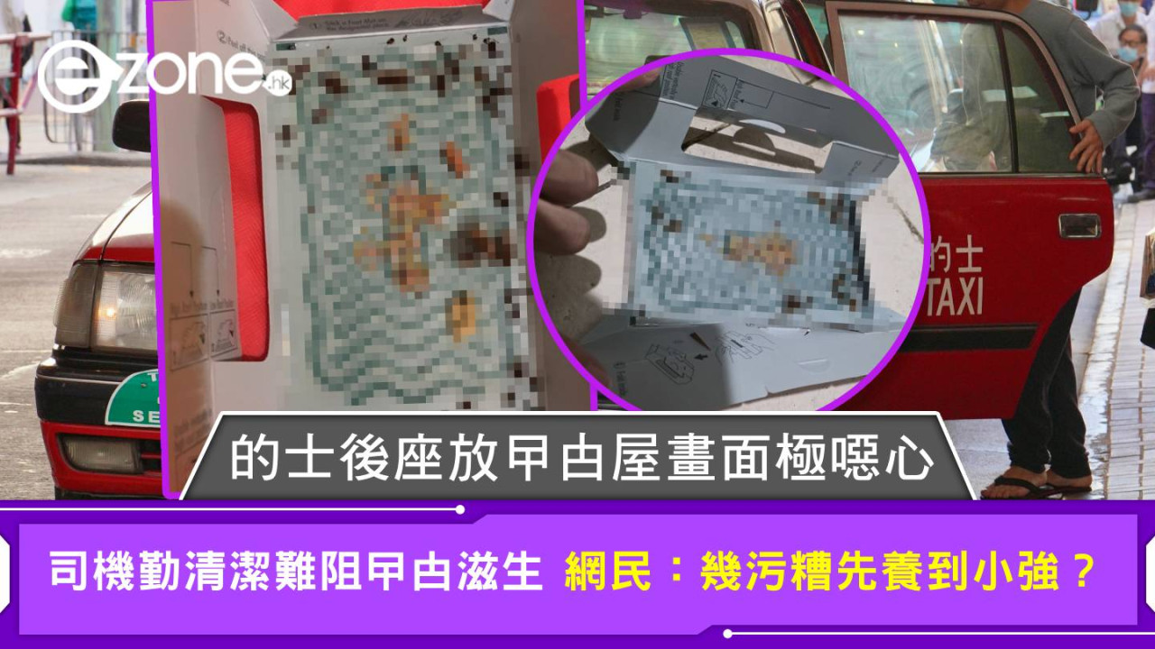 的士後座放曱甴屋畫面極噁心 司機勤清潔難阻曱甴滋生 網民:幾污糟先養到小強?