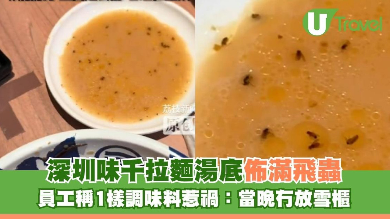 深圳味千拉麵湯底佈滿飛蟲 員工稱1樣調味料惹禍：當晚冇放雪櫃