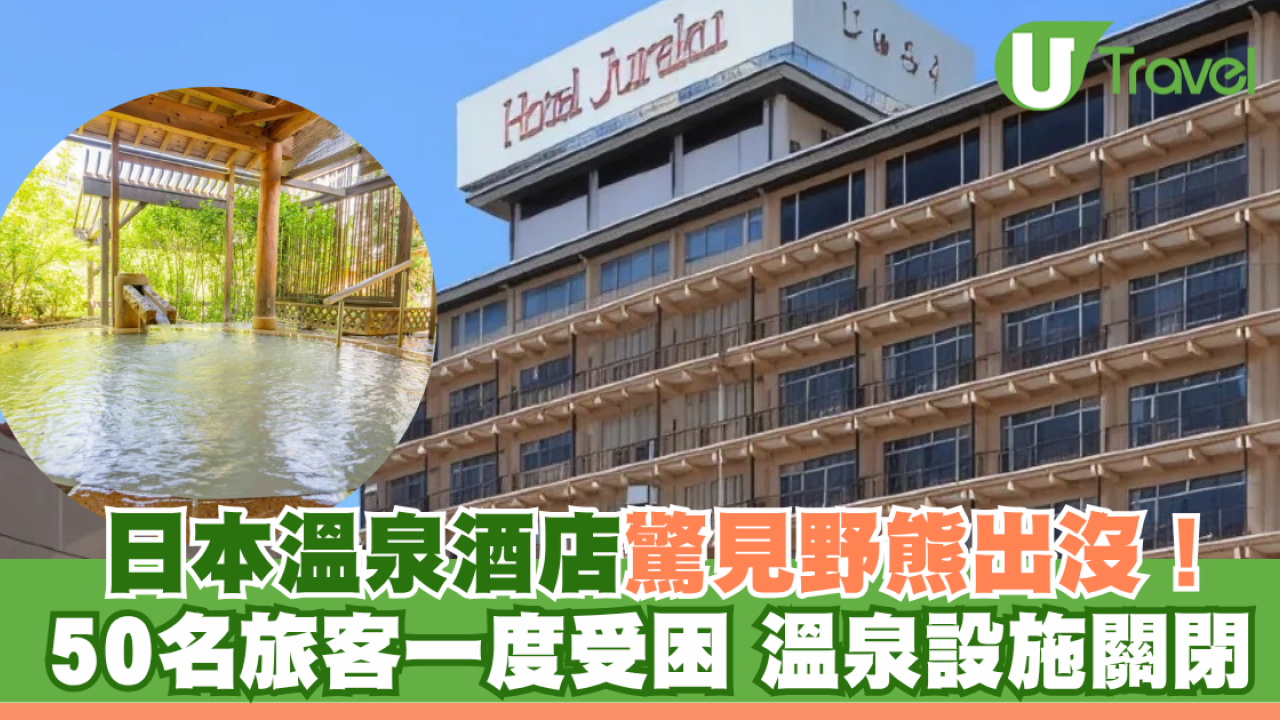 日本溫泉酒店驚見野熊出沒！50名旅客一度受困 溫泉設施關閉