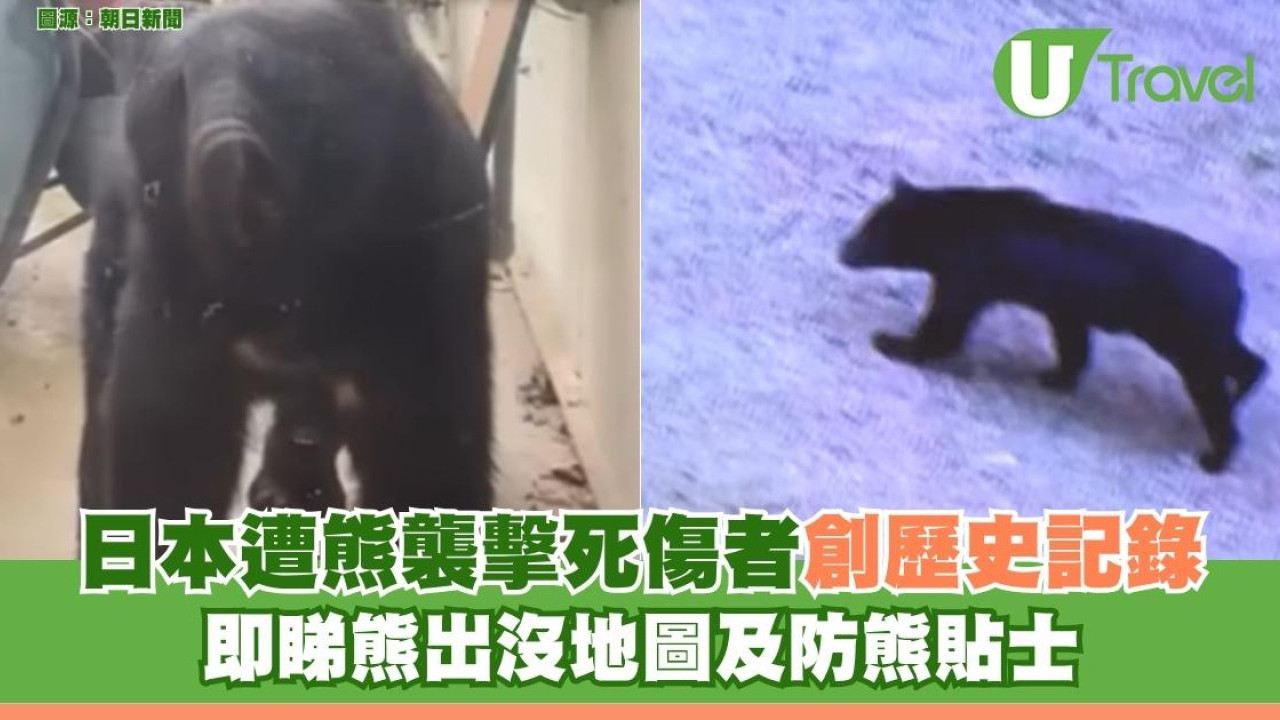 遊日注意！日本遭熊襲擊死傷者創歷史記錄 即睇熊出沒地圖及防熊貼士
