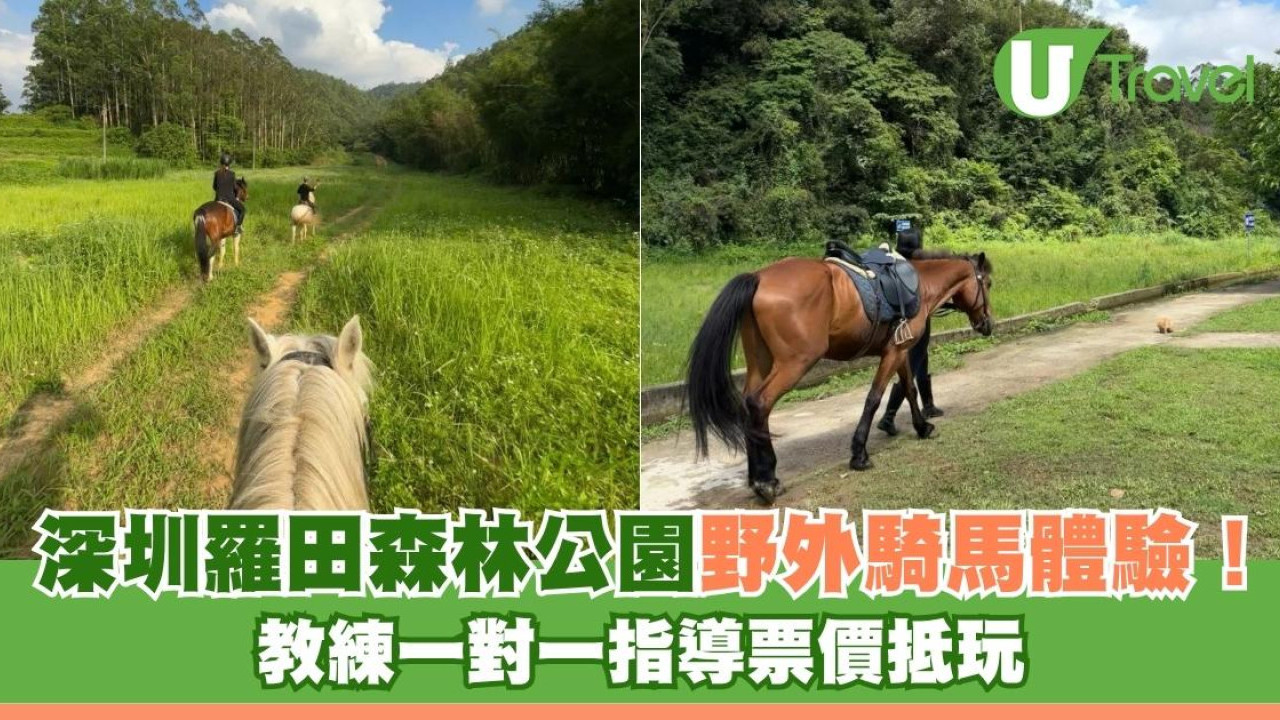 深圳騎馬特色羅田森林公園野外騎馬體驗！ 教練一對一指導票價抵玩