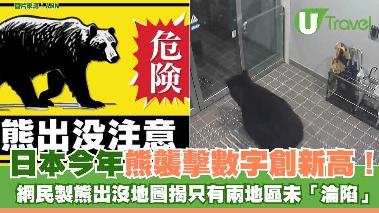 日本今年熊襲擊數字創新高！ 網民製熊出沒地圖揭只有兩地區未「淪陷」