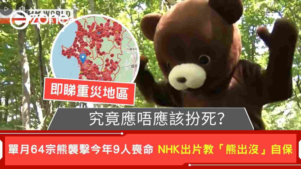日本單月64宗熊襲擊今年9人喪命  NHK出片教「熊出沒」自保 究竟應唔應該扮死？