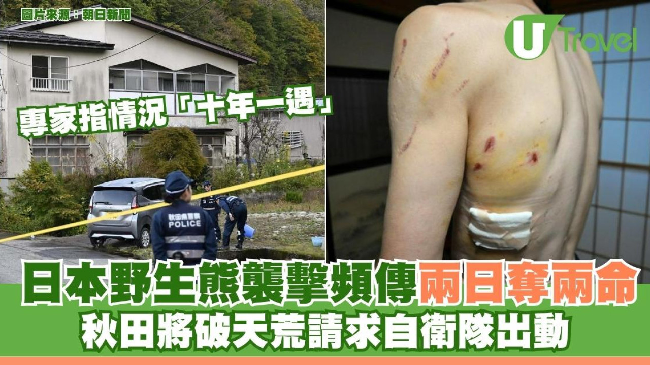 日本野生熊襲擊頻傳兩天奪兩命 秋田將破天荒請求自衛隊出動清剿