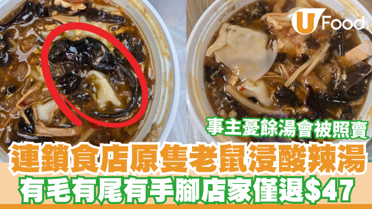 連鎖食店原隻老鼠浸酸辣湯！有毛有尾有手腳店家僅退$47／事主憂剩下餘湯會被照賣