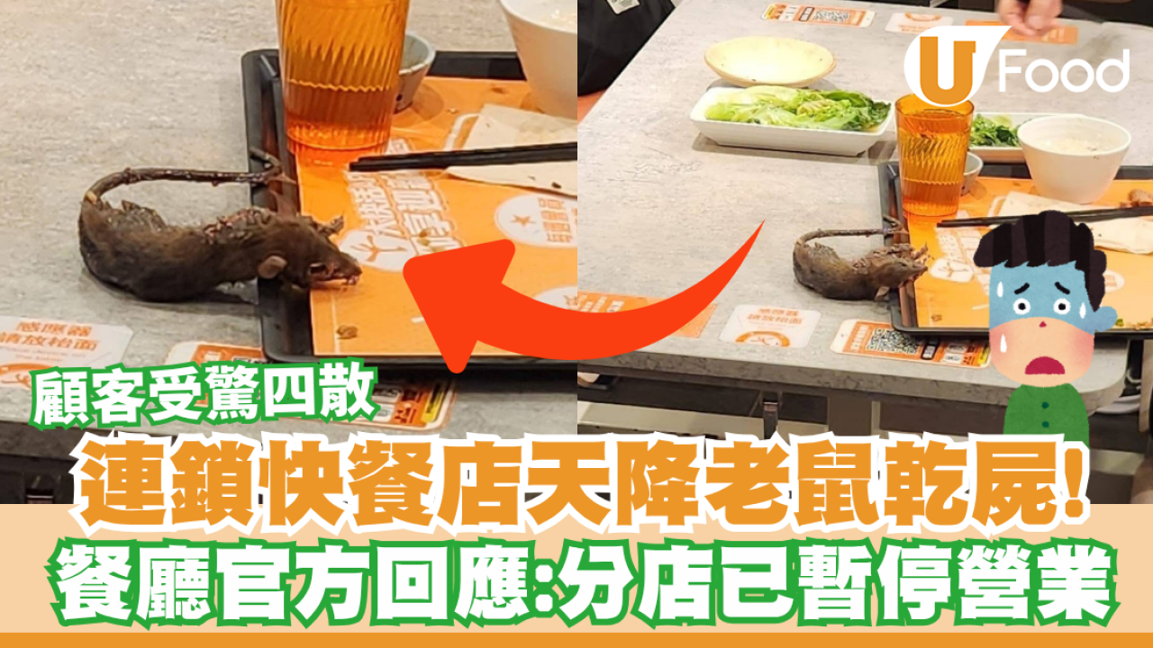 連鎖快餐店天降老鼠乾屍！顧客受驚四散／餐廳官方回應：分店已暫停營業