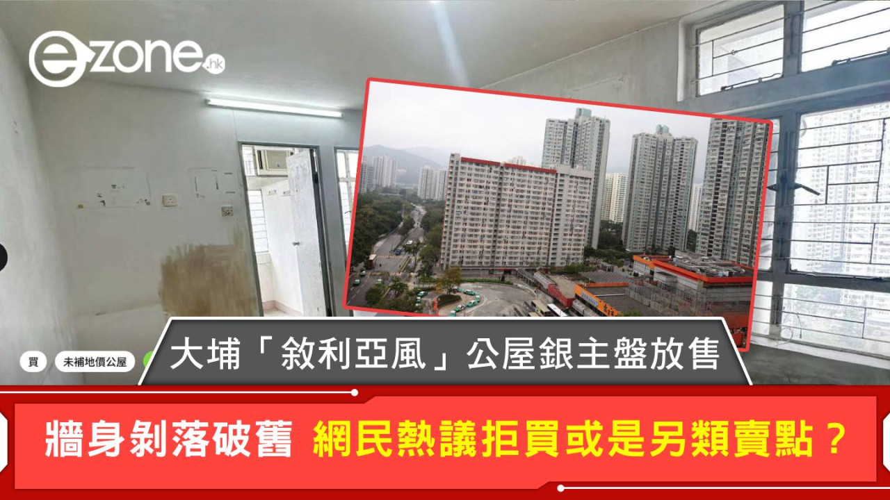大埔「敘利亞風」公屋銀主盤放售 牆身剝落破舊 網民熱議拒買或是另類賣點?