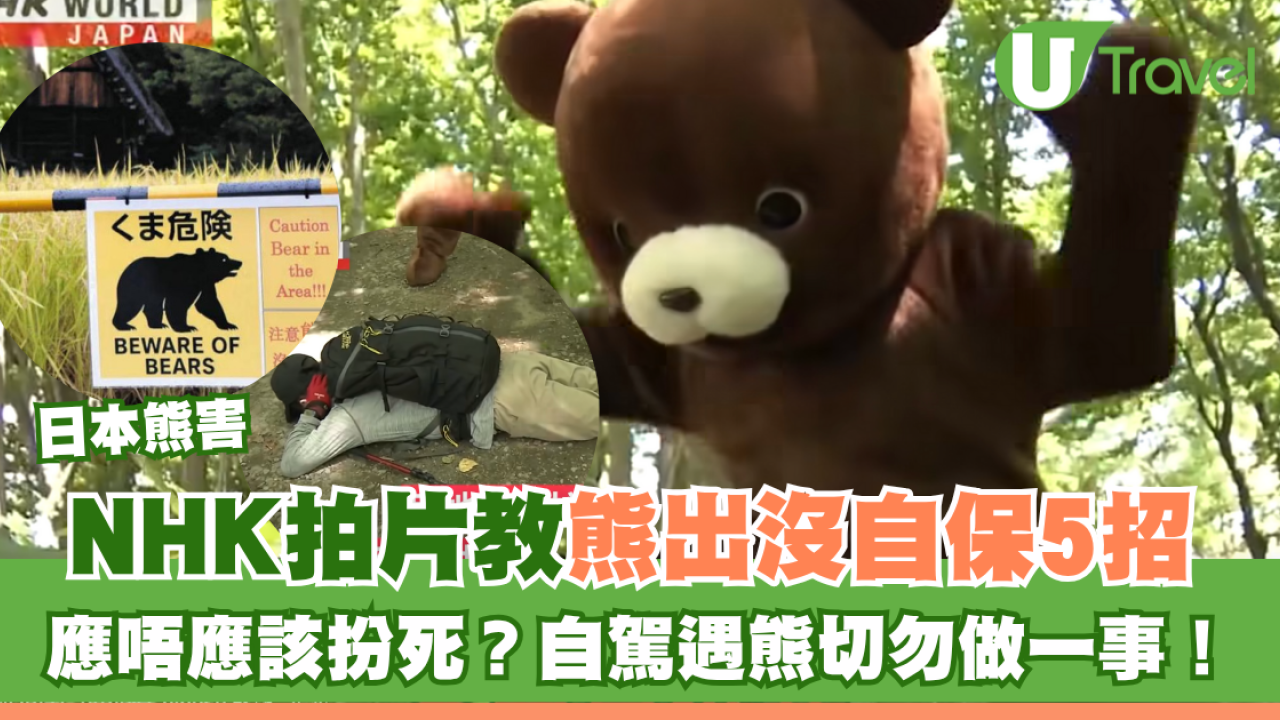 遊日注意｜NHK教「熊出沒」自保5招 應唔應該扮死？自駕遇熊切勿做一事！