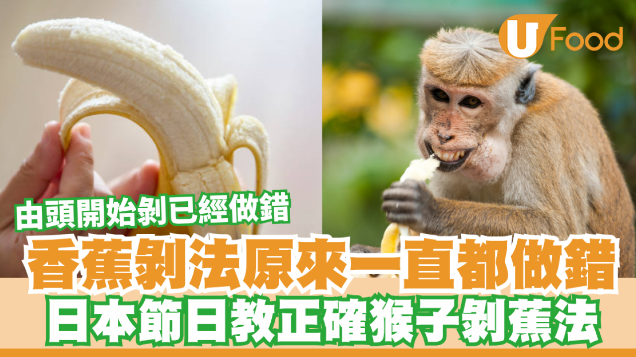 香蕉剝法原來一直都做錯！日本節日教猴子剝蕉法／由頭開始剝已經做錯