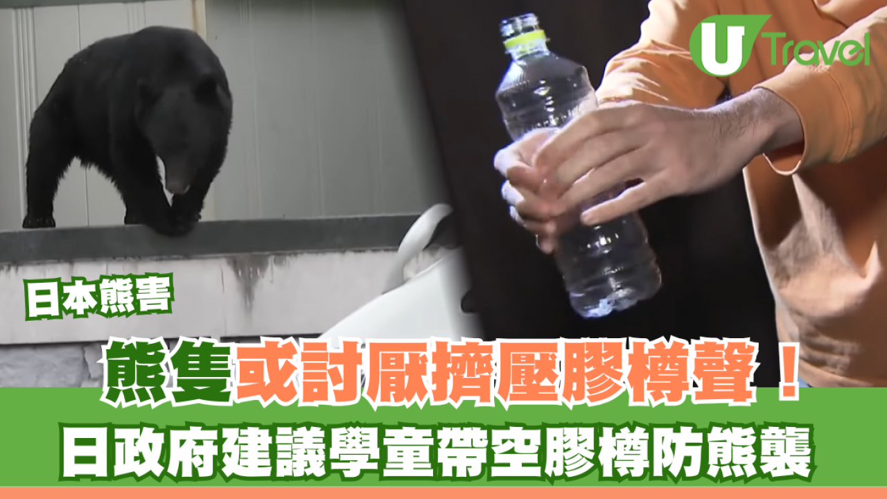日本熊害｜日政府建議學童帶1物防熊襲 指熊隻或討厭呢種聲！