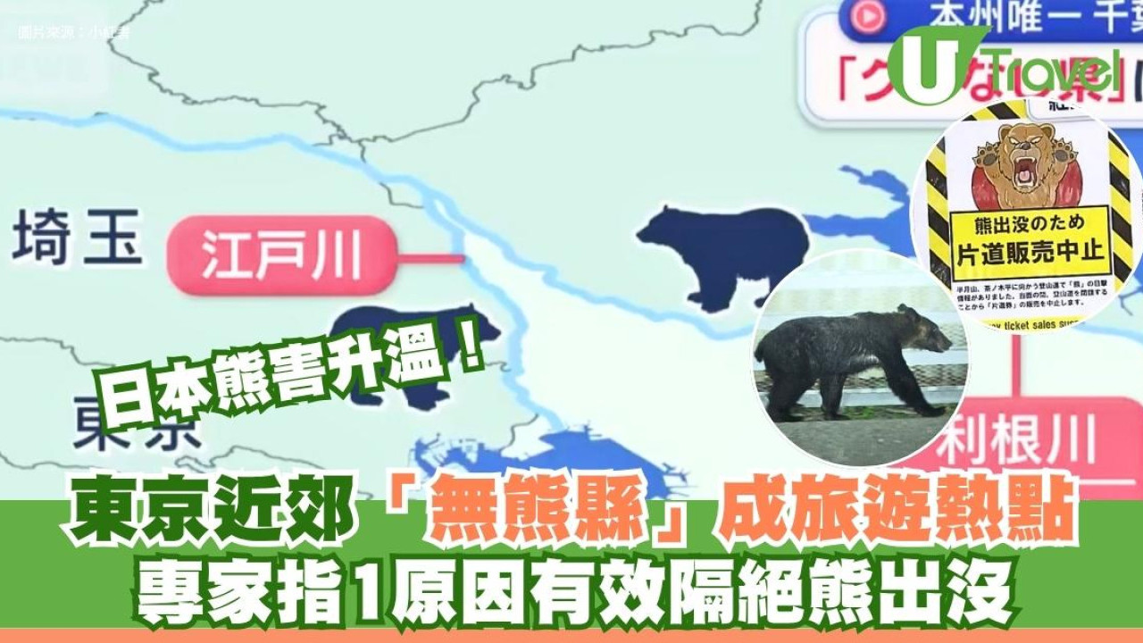 日本熊害升溫！東京近郊「無熊縣」成旅遊熱點 專家指1原因有效隔絕熊出沒