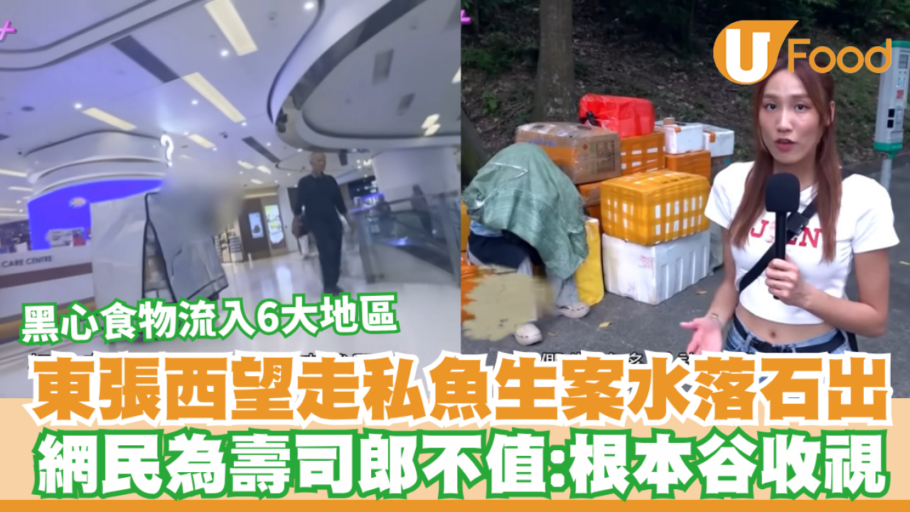 東張西望走私魚生案水落石出！網民為壽司郎不值：根本谷收視