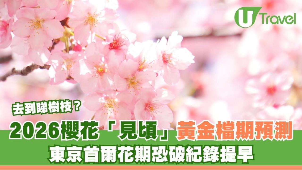 2026櫻花預測9成人錯看日子！東京首爾花期再破紀錄？內附預測黃金檔期