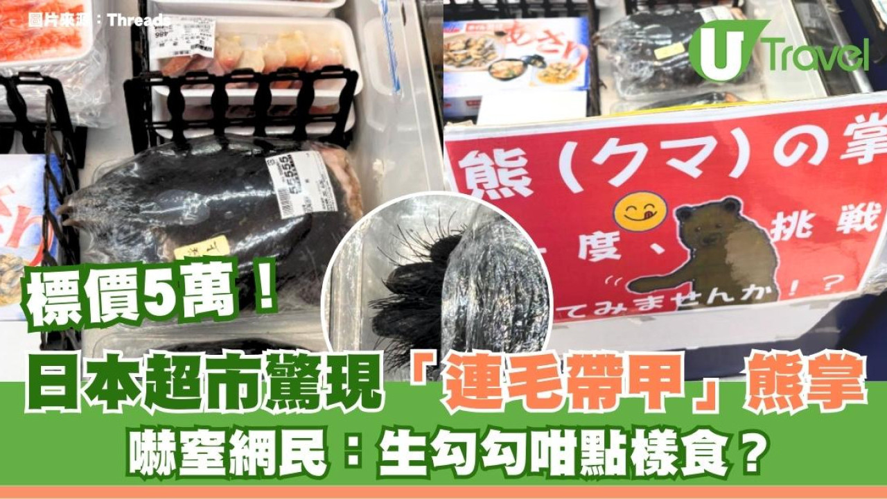 日本超市驚現「連毛帶甲」熊掌！標價5萬円嚇窒網民：生勾勾咁點樣食？