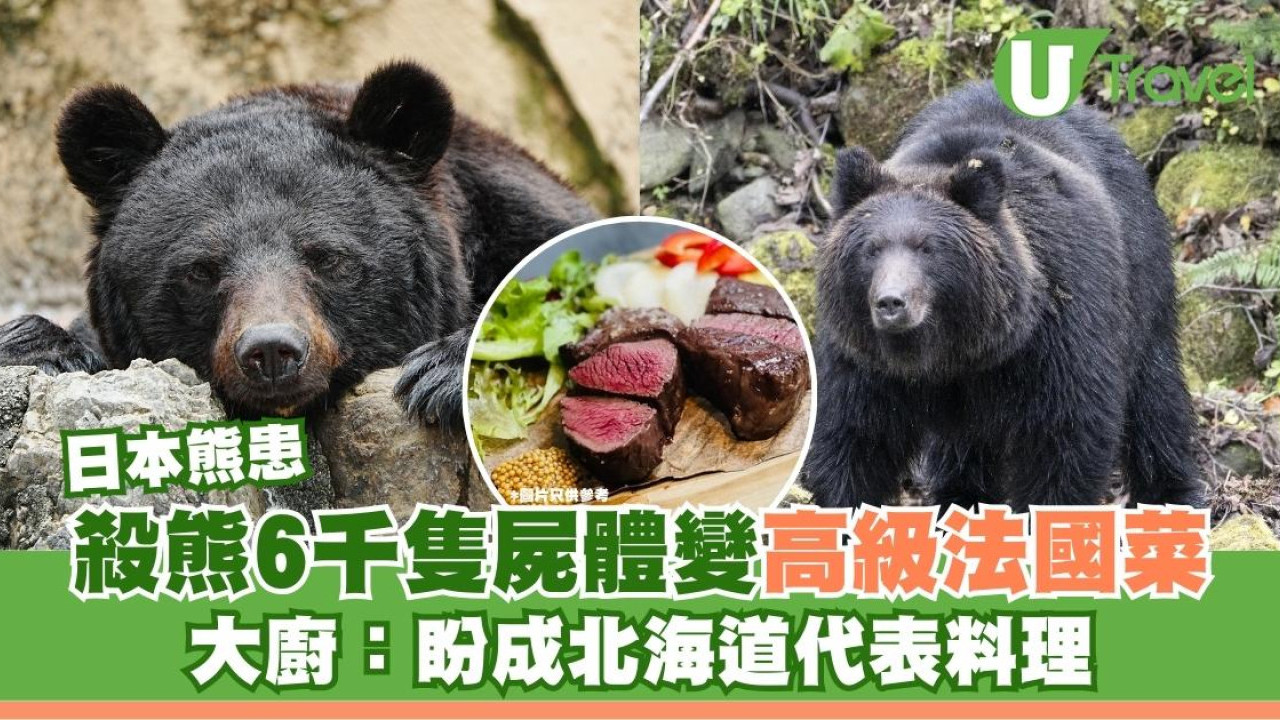 日本熊患｜殺熊6千隻屍體變高級法國菜？大廚：盼成北海道代表料理
