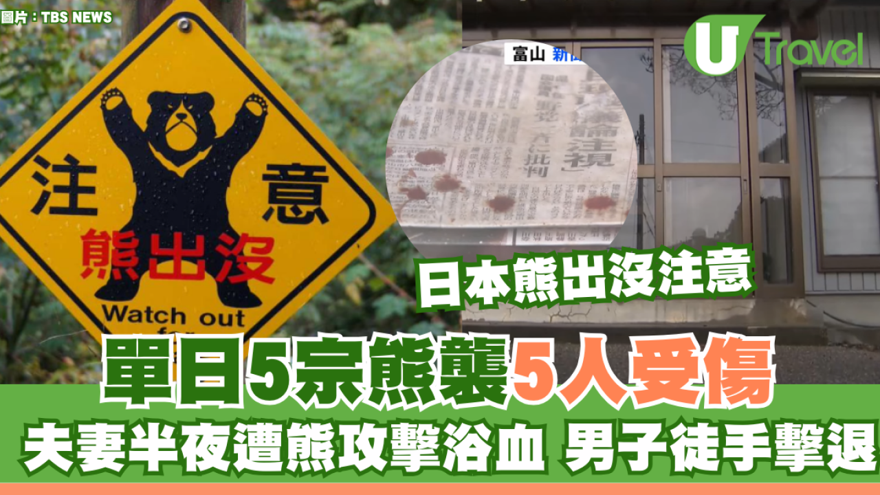 日本熊患未止｜單日5宗熊襲5人受傷！夫妻半夜遭熊攻擊浴血 男子徒手擊退猛獸