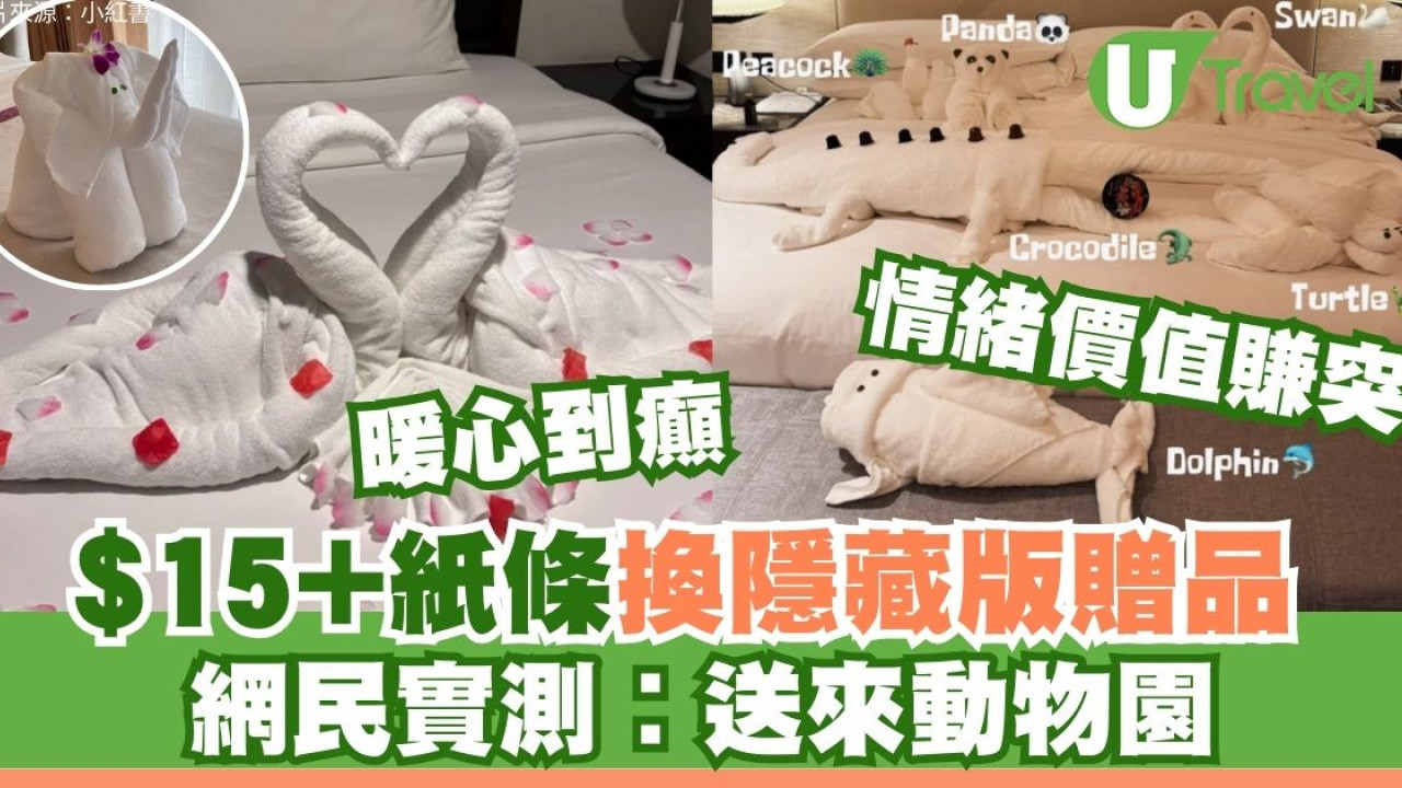 酒店都市傳說網民實測！$15小費留紙條換「隱藏版」贈品？網民：情緒價值滿分