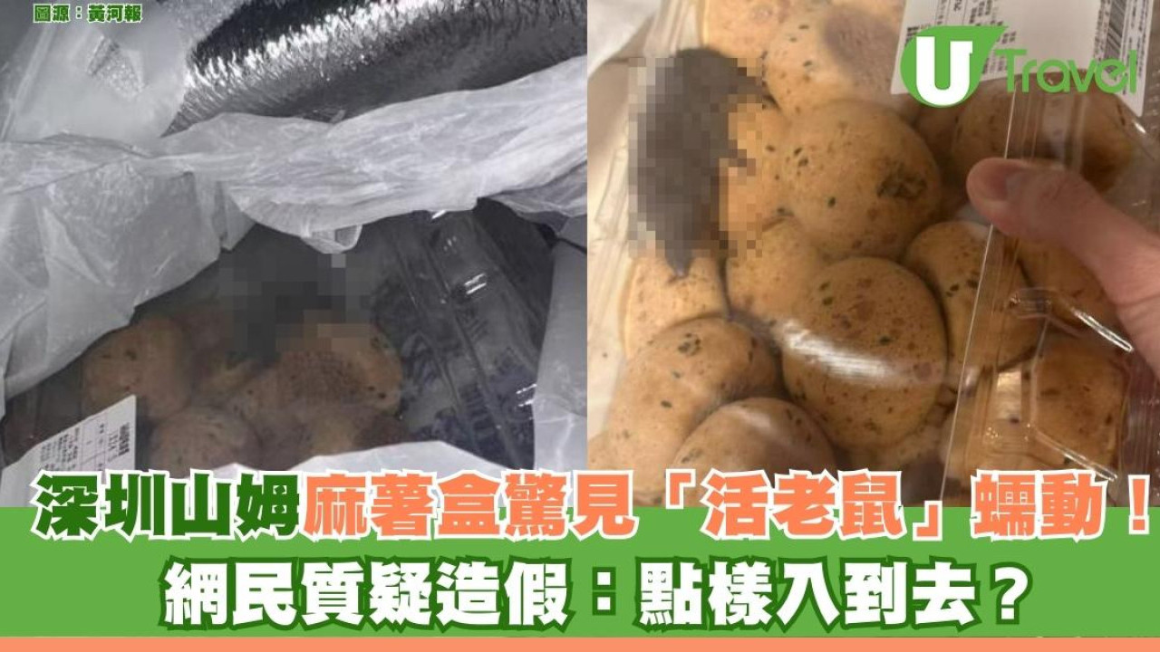 影片瘋傳！深圳山姆麻糬藏生猛老鼠！事主崩潰無造假附官方回應