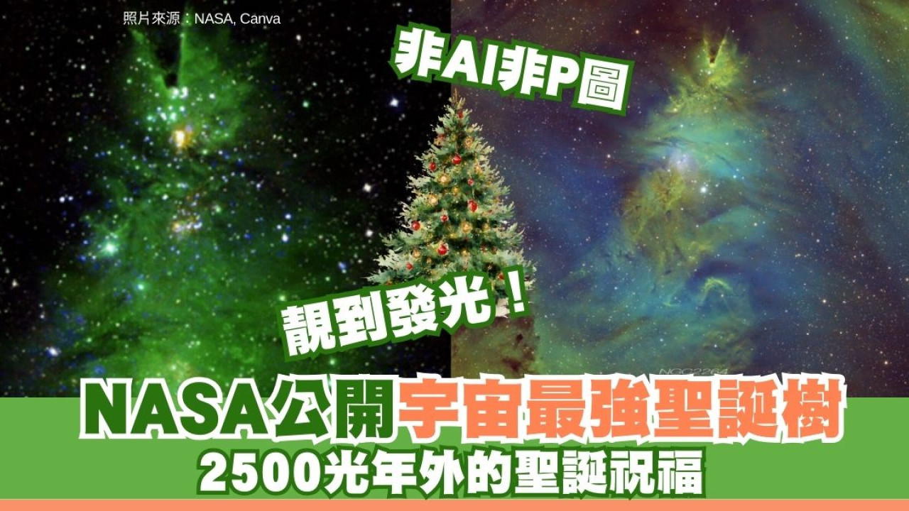 宇宙最強聖誕卡！NASA公開2500光年外「聖誕樹」揭絕美星團真相