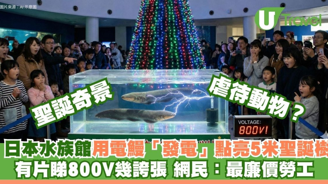 日本聖誕奇景｜水族館用電鰻「發電」點亮5米聖誕樹！有片睇800V幾誇張